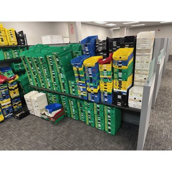 Lot of Organizational Bins | Rig Fee $275